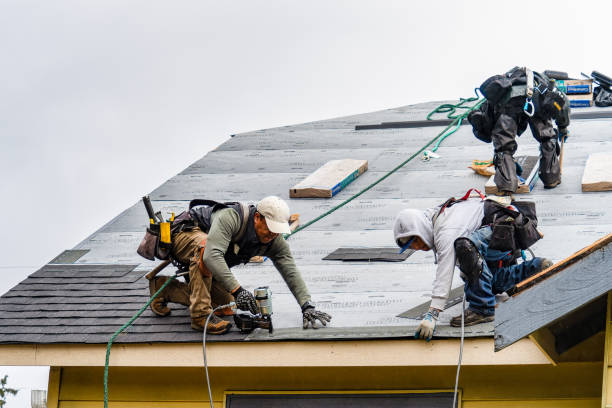 Professional Roof Inspection technician working in Holden, MA